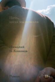 бесплатно читать книгу Ночь, когда мы исчезли автора Николай Кононов