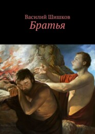 бесплатно читать книгу Братья автора Василий Шишков