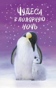 бесплатно читать книгу Чудеса в полярную ночь автора Холли Вебб