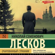 бесплатно читать книгу Очарованный странник (сборник) автора Николай Лесков