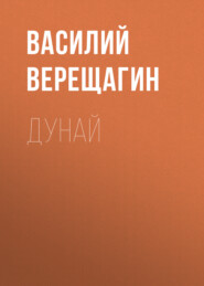 бесплатно читать книгу Дунай автора Василий Верещагин