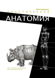 бесплатно читать книгу Пластическая анатомия автора Мария Приймова