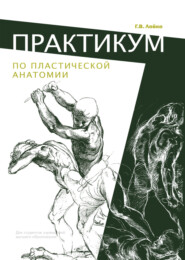 бесплатно читать книгу Практикум по пластической анатомии автора Георгий Лойко