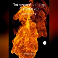 бесплатно читать книгу Последний из рода Саламандр автора Игорь Углов