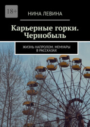 бесплатно читать книгу Карьерные горки. Чернобыль. Жизнь напролом. Мемуары в рассказах автора Нина Левина