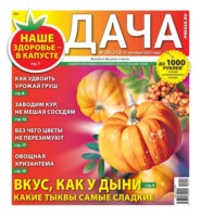 бесплатно читать книгу Дача Pressa.ru 20-2022 автора  Редакция газеты Дача Pressa.ru