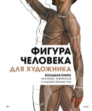 бесплатно читать книгу Фигура человека для художника. Большая книга анатомии, референсов и художественных поз автора 3dtotal Publishing 