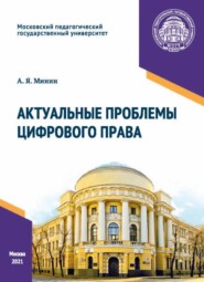бесплатно читать книгу Актуальные проблемы цифрового права автора Анатолий Минин
