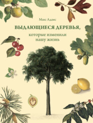 бесплатно читать книгу Выдающиеся деревья, которые изменили нашу жизнь автора Макс Адамс