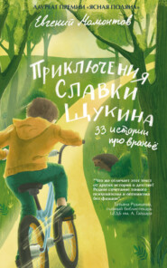 бесплатно читать книгу Приключения Славки Щукина. 33 рассказа про враньё автора Евгений Мамонтов