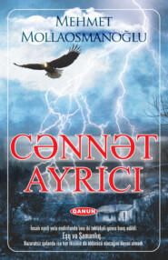 бесплатно читать книгу Cənnət Ayrici автора Mehmet Mollaosmanoğlu