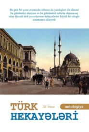 бесплатно читать книгу Türk hekayələri автора  Коллектив авторов