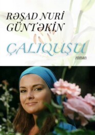 бесплатно читать книгу Çalıquşu автора Решад Гюнтекин