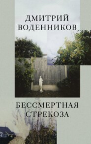 бесплатно читать книгу Бессмертная стрекоза автора Дмитрий Воденников