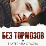 бесплатно читать книгу Без тормозов автора Екатерина Орлова
