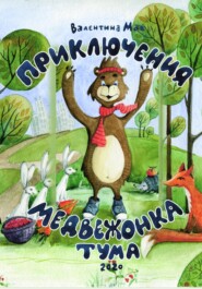 бесплатно читать книгу Приключения медвежонка Тума автора Валентина Мак