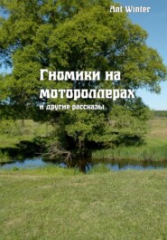 бесплатно читать книгу Гномики на мотороллерах и другие рассказы автора Winter Ant