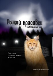 бесплатно читать книгу Рыжий красавец и светящийся шар автора Alexander Meinhardt