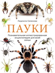 бесплатно читать книгу Пауки. Познавательная иллюстрированная энциклопедия для всей семьи автора Людмила Семенова