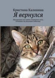 бесплатно читать книгу Я вернулся. Инструкция как найти утерянного кота. Основано на реальных событиях автора Кристина Калинина