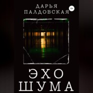 бесплатно читать книгу Эхо шума автора  Дарья Палдовская