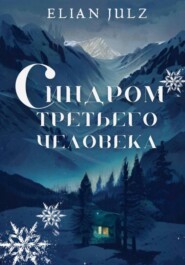 бесплатно читать книгу Синдром третьего человека автора  Elian Julz