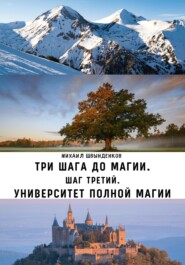 бесплатно читать книгу Три шага до магии. Шаг третий. Университет Полной Магии автора Михаил Швынденков