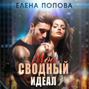 бесплатно читать книгу Мой сводный идеал автора Елена Попова