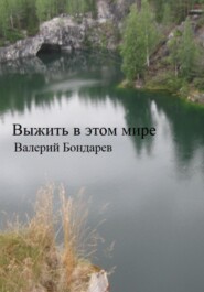 бесплатно читать книгу Выжить в этом мире автора Валерий Бондарев