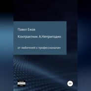 бесплатно читать книгу Контрактник А.Непригодин автора Павел Ежов