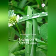 бесплатно читать книгу Большой и маленький автора Елена Абалихина