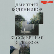 бесплатно читать книгу Бессмертная стрекоза автора Дмитрий Воденников