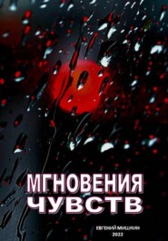 бесплатно читать книгу Мгновения чувств автора Евгений Мишкин