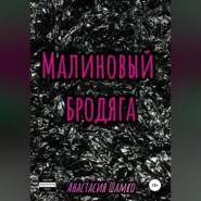 бесплатно читать книгу Малиновый бродяга автора Анастасия Шамко
