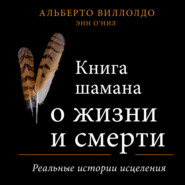 бесплатно читать книгу Книга шамана о жизни и смерти. Реальные истории исцеления автора Энн О'Нил