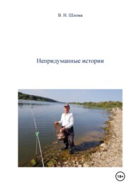 бесплатно читать книгу Непридуманные истории автора Владимир Шлома