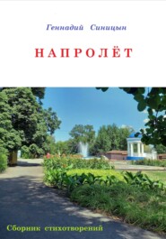 бесплатно читать книгу Напролёт автора Геннадий Синицын