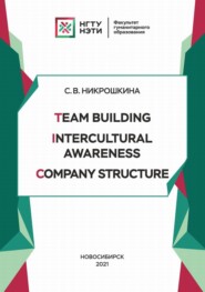 бесплатно читать книгу Team Building. Intercultural Awareness. Company Structure автора Софья Никрошкина