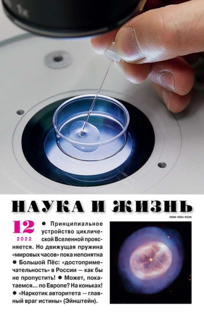 Наука и Жизнь 12-2022