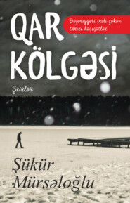 бесплатно читать книгу Qar kölgəsi автора Mürsəloğlu Şükür