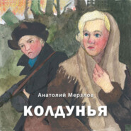 бесплатно читать книгу Колдунья автора Анатолий Мерзлов