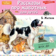 бесплатно читать книгу Рассказы про животных для детей автора Борис Житков
