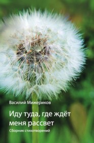 бесплатно читать книгу Иду туда, где ждет меня рассвет автора Вавилий Мижериков