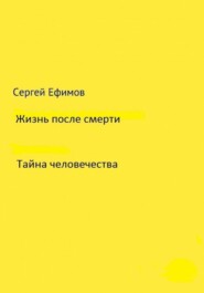 бесплатно читать книгу Жизнь после смерти автора Сергей Ефимов