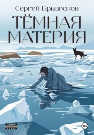 бесплатно читать книгу Тёмная материя автора Сергей Брызгалов