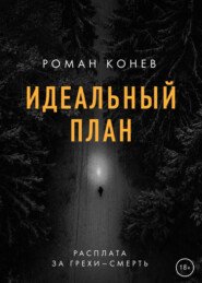 бесплатно читать книгу Идеальный план автора Роман Конев