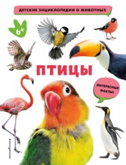 бесплатно читать книгу Птицы автора  Эксмодетство
