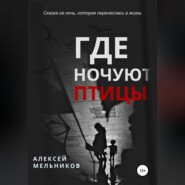 бесплатно читать книгу Где ночуют птицы автора Алексей Мельников
