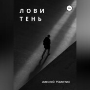 бесплатно читать книгу Лови тень автора Алексей Малютин