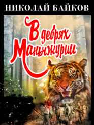 бесплатно читать книгу В дебрях Маньчжурии автора Николай Байков